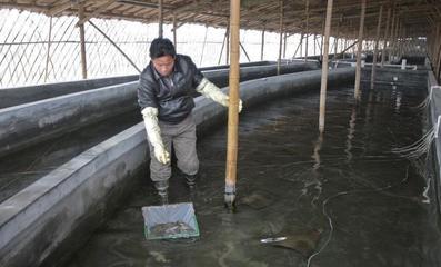 养殖场建在自家确权耕地上，算违章建筑吗？（水产养殖篇）