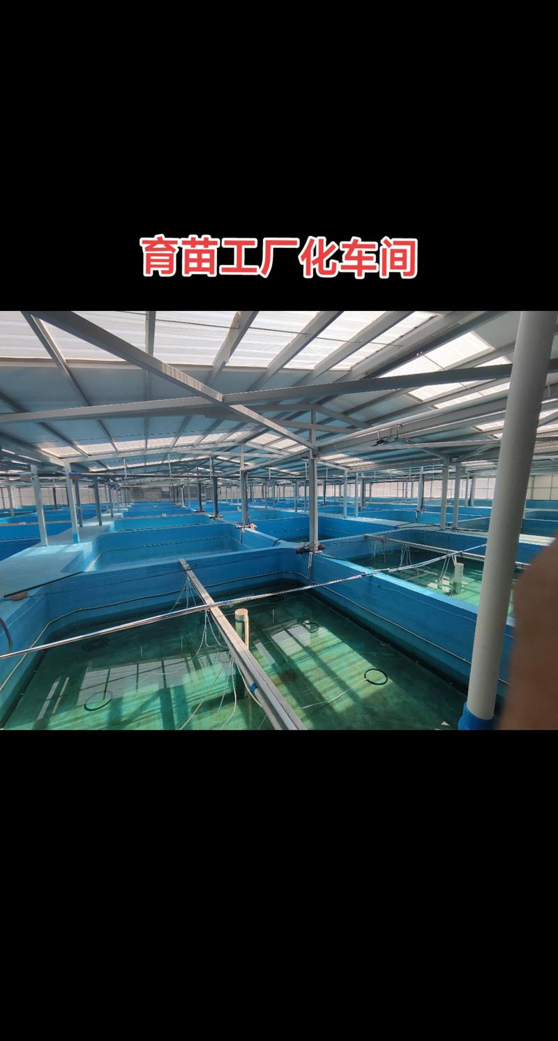 500亩水产养殖基地建设.育苗工厂化养殖车间.板正!#南美白