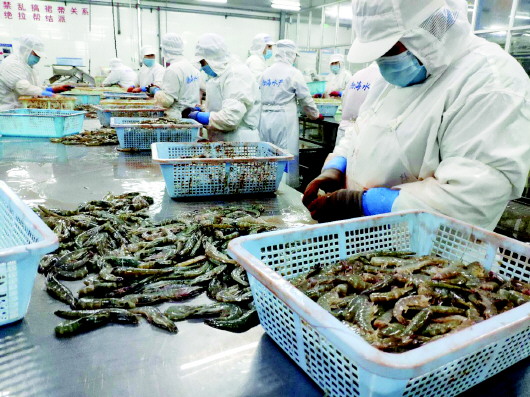 &ldquo;硬核&rdquo;政策助企复工复产