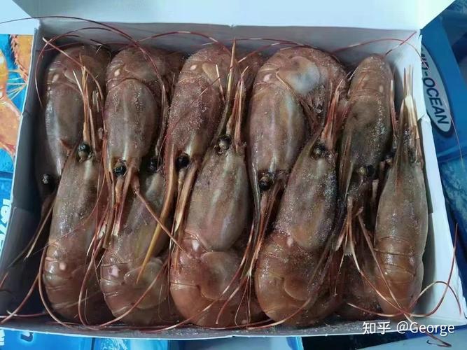 进口水产品所需资料全指南 从资质到通关的完整清单
